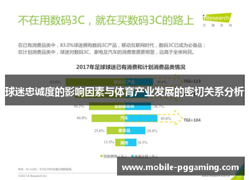 球迷忠诚度的影响因素与体育产业发展的密切关系分析
