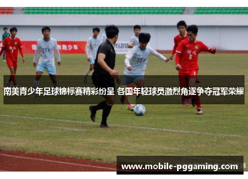 南美青少年足球锦标赛精彩纷呈 各国年轻球员激烈角逐争夺冠军荣耀