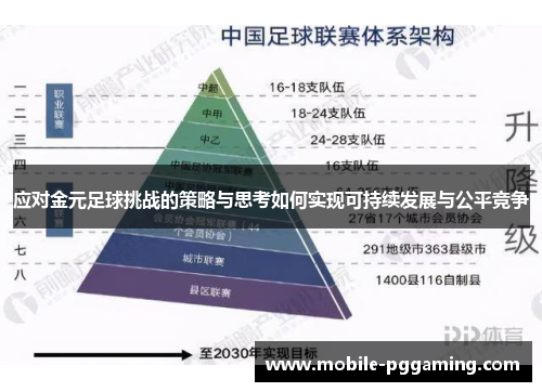 应对金元足球挑战的策略与思考如何实现可持续发展与公平竞争