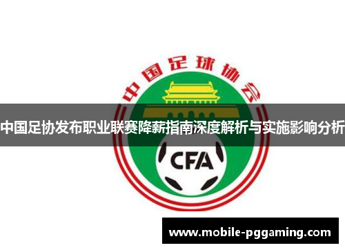 中国足协发布职业联赛降薪指南深度解析与实施影响分析