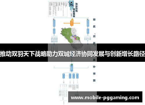 推动双羽天下战略助力双城经济协同发展与创新增长路径