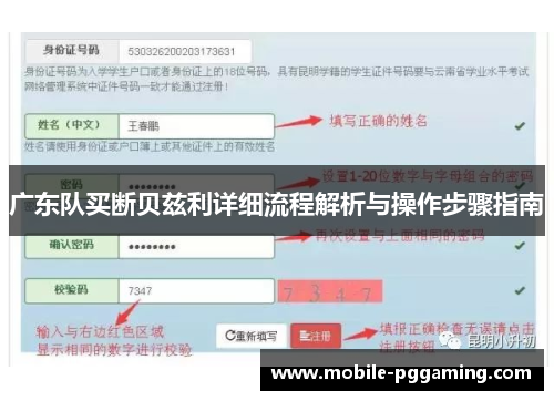 广东队买断贝兹利详细流程解析与操作步骤指南