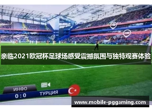 亲临2021欧冠杯足球场感受震撼氛围与独特观赛体验