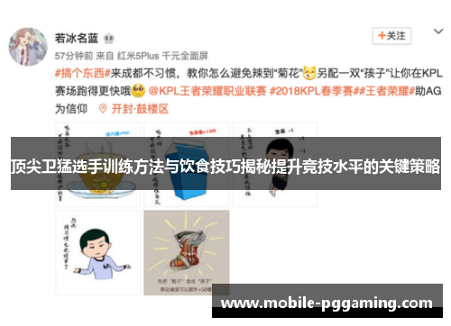 顶尖卫猛选手训练方法与饮食技巧揭秘提升竞技水平的关键策略