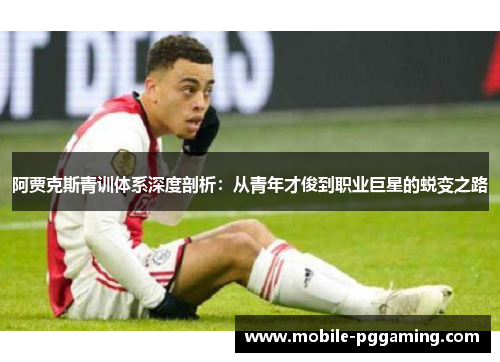 阿贾克斯青训体系深度剖析：从青年才俊到职业巨星的蜕变之路