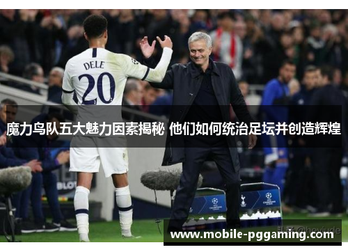 魔力鸟队五大魅力因素揭秘 他们如何统治足坛并创造辉煌