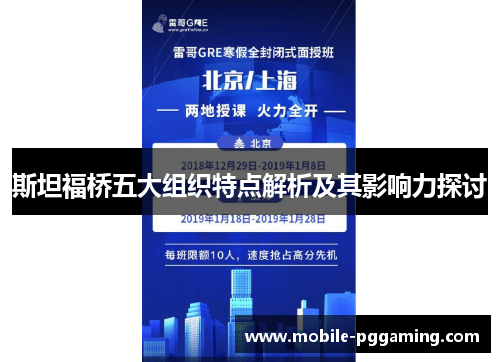 斯坦福桥五大组织特点解析及其影响力探讨